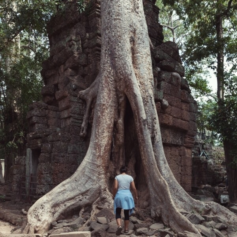 Meet your Posher, Cara